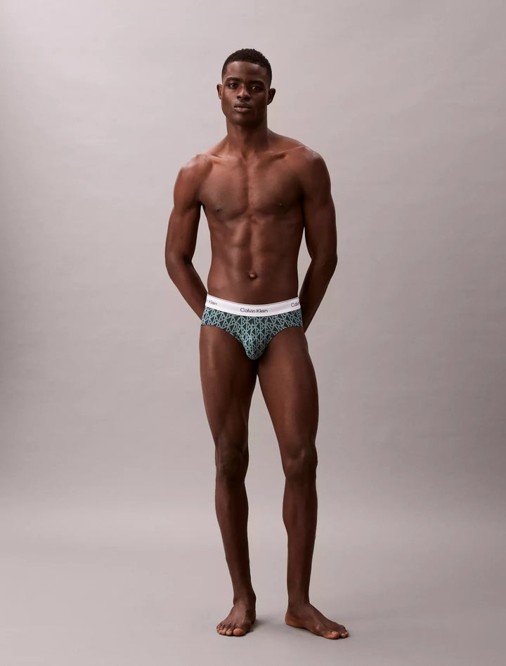 Calvin Klein Men's Icon Cotton Stretch 3-Pack Hip Briefs