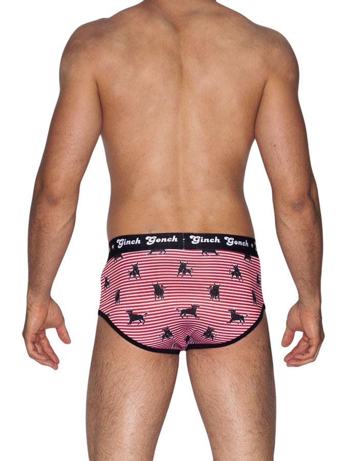 Ginch Gonch Wild Bulls Brief - Striped Poly-Stretch Jockey Underwear