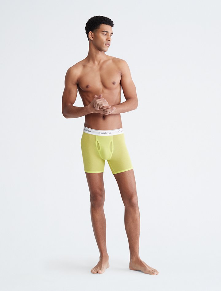Calvin Klein Men's This Is Love Mesh Boxer Briefs