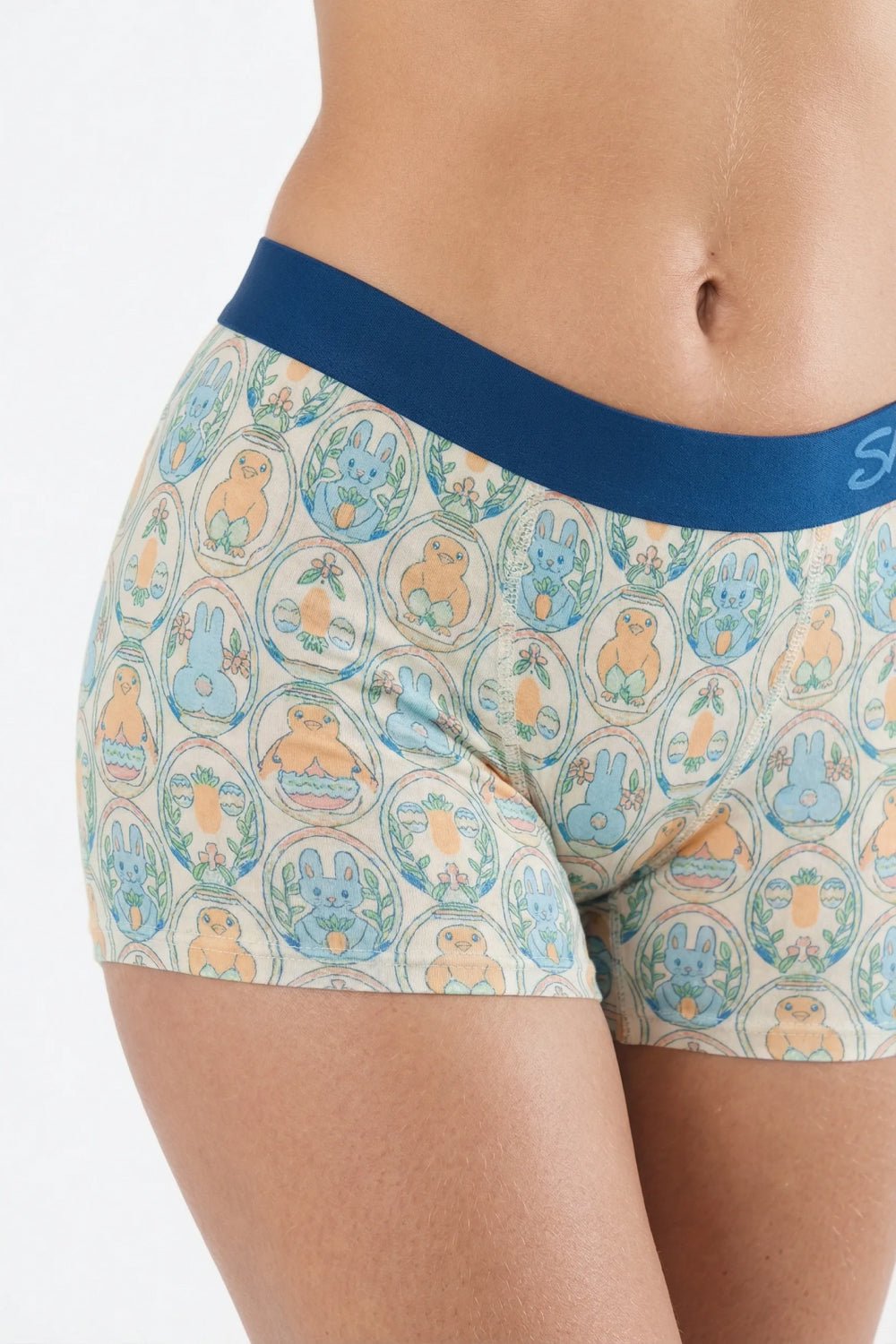 Shinesty "The Chicks Dig It" Women's Boxer Briefs - Pastel Easter Print