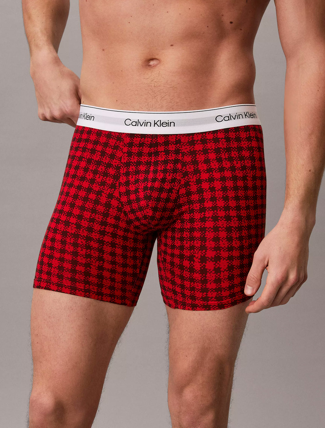 Calvin Klein Men's Icon Cotton Stretch Limited Edition Boxer Briefs