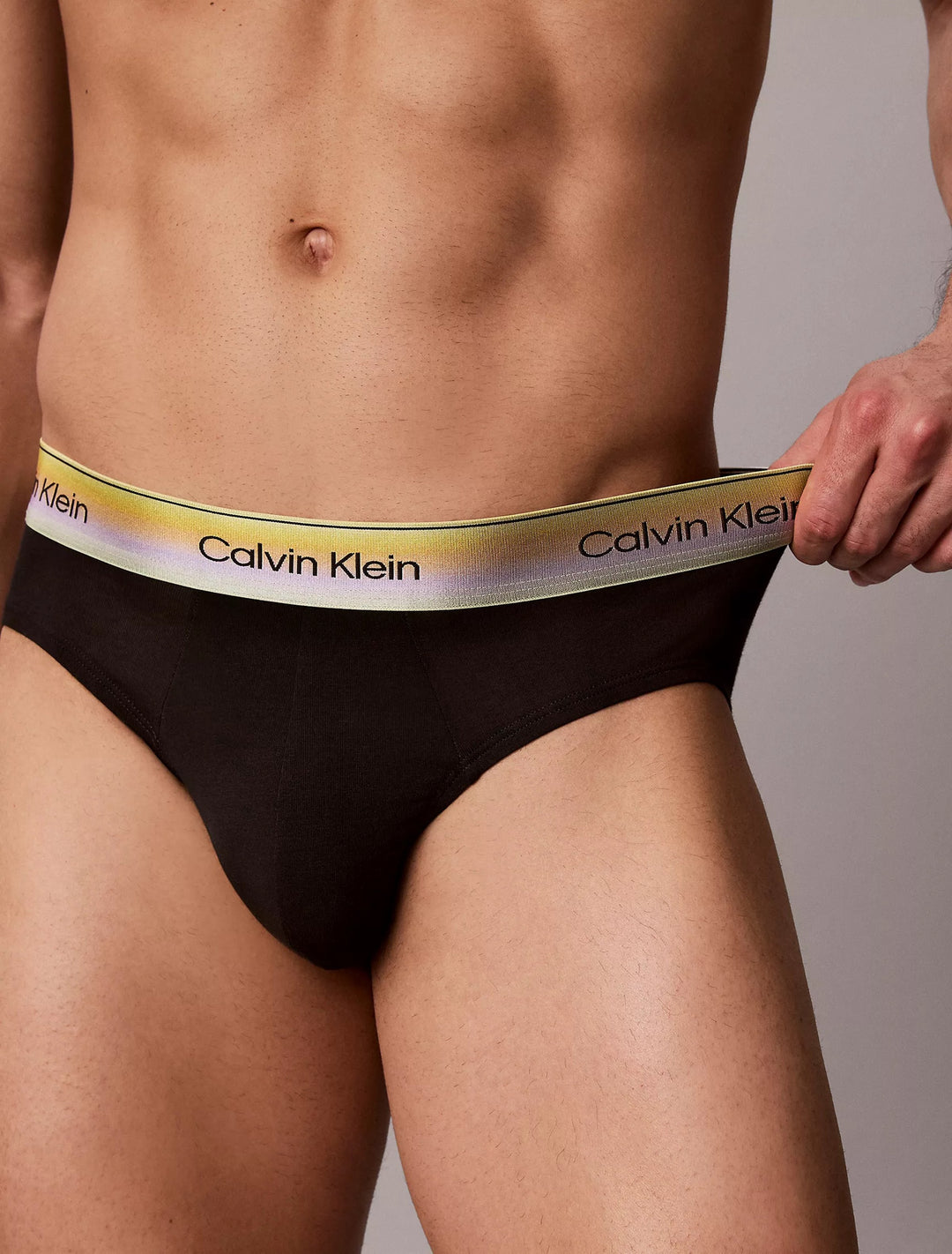 Calvin Klein Men's Icon Cotton Stretch Pride Hip Briefs