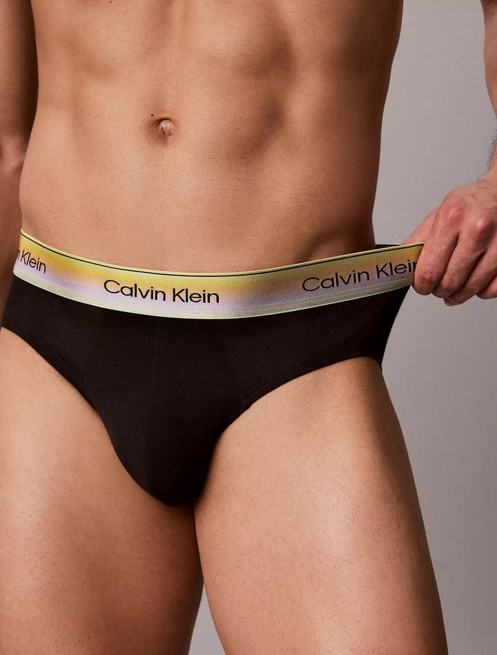 Calvin Klein Men's Icon Cotton Stretch Pride Hip Briefs