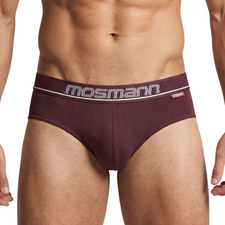 Man wearing Mosmann Comfort Core briefs in Apollo burgundy, front view
