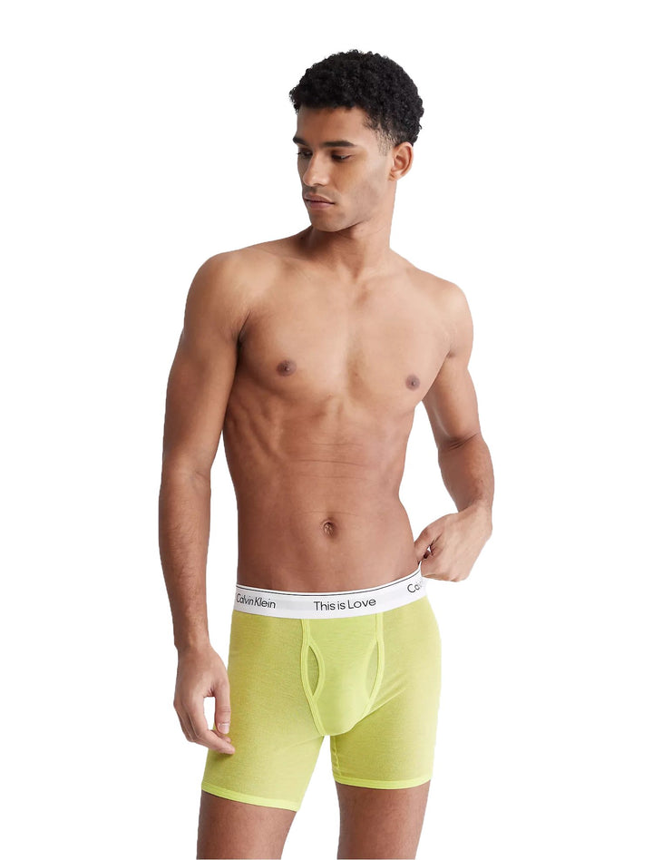 Pride This Is Love Mesh Boxer Brief