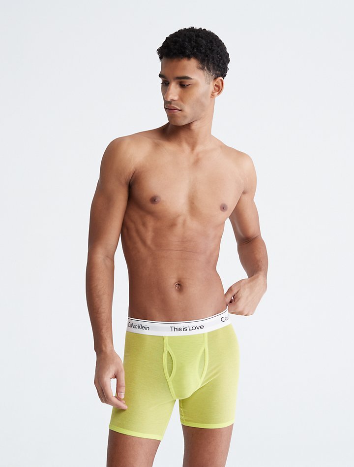 Calvin Klein Men's This Is Love Mesh Boxer Briefs
