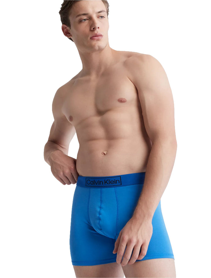 Calvin Klein Reimagined Heritage Cotton 3-Pack Boxer Briefs (Blue/Silver)