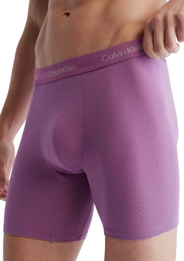 Calvin Klein Men's Ultra-Soft Modern Modal Boxer Brief